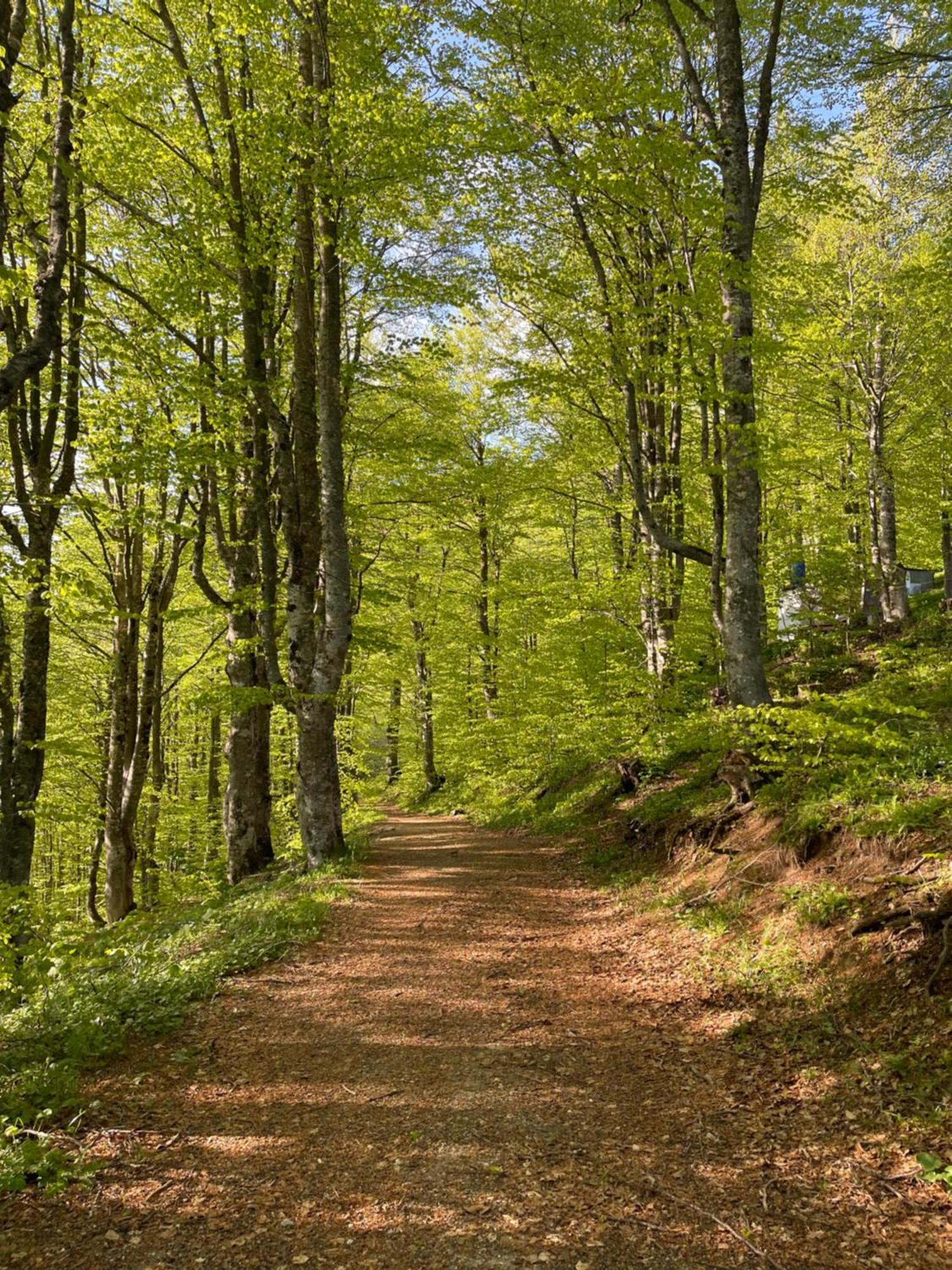 Bed and Breakfast Honey Valley Б'єлашница Екстер'єр фото